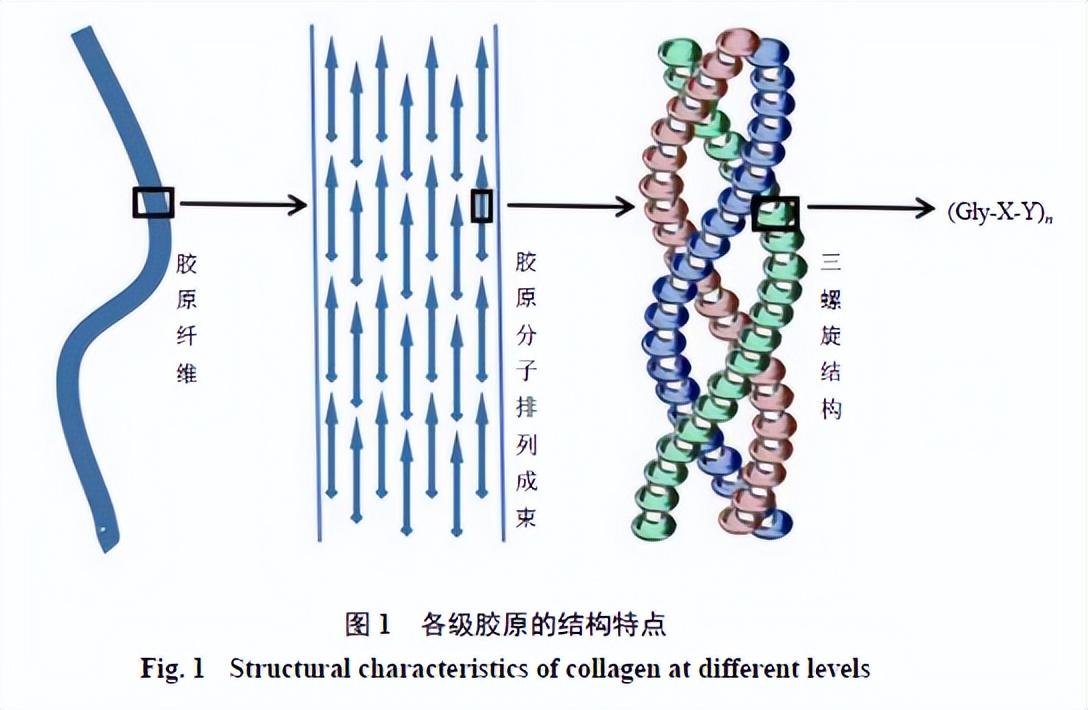 简述液质联用仪的工作原理_液质联用仪主要测什么_液质联用仪实验报告