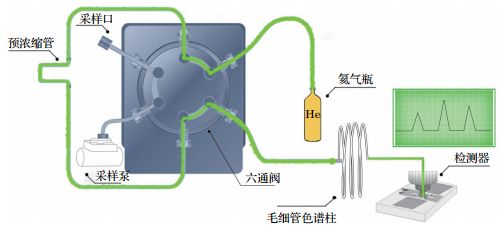 气相色谱仪检测哪些项目_仪色谱检测气相项目有哪些_仪色谱检测气相项目是什么